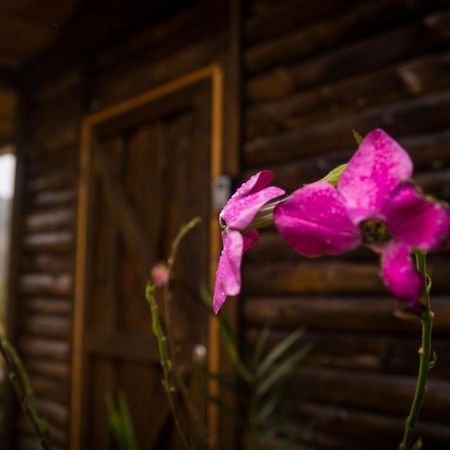 Вілла Finca Las Huellas: Cabana Acogedora En La Montana Estrella Екстер'єр фото