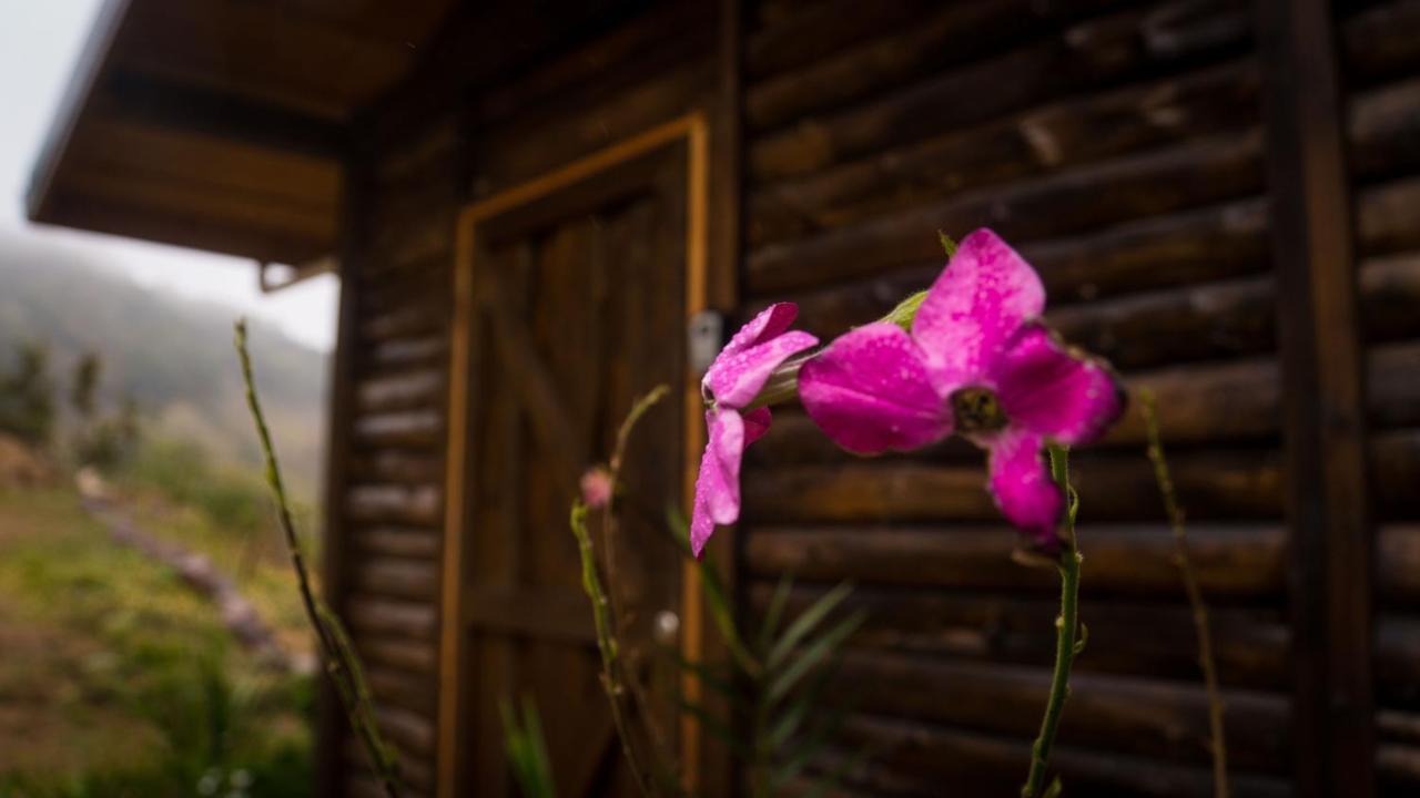 Вілла Finca Las Huellas: Cabana Acogedora En La Montana Estrella Екстер'єр фото