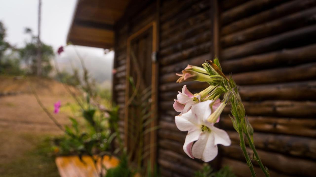 Вілла Finca Las Huellas: Cabana Acogedora En La Montana Estrella Екстер'єр фото